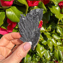 Load image into Gallery viewer, Black Kyanite - The Aura Comb