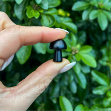 Load image into Gallery viewer, Obsidian_Mushroom_Soulemporium