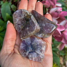 Load image into Gallery viewer, Super_Seven_Slice_Soulemporium