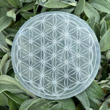 Load image into Gallery viewer, Selenite Charging Plate