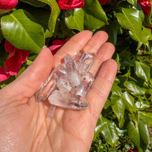 Load image into Gallery viewer, Mini Brandberg