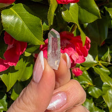 Load image into Gallery viewer, Mini Brandberg