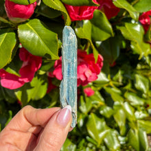 Load image into Gallery viewer, Bi-Colour Blue Kyanite - Cord Cutting & Energy Clearing