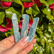 Load image into Gallery viewer, Bi-Colour Blue Kyanite - Cord Cutting & Energy Clearing