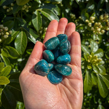 Load image into Gallery viewer, Apatite Tumblestone