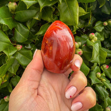 Load image into Gallery viewer, Carnelian Freeform