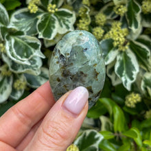 Load image into Gallery viewer, Prehnite & Epidote Palm Stone