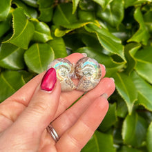 Load image into Gallery viewer, Ammonite (Pair)