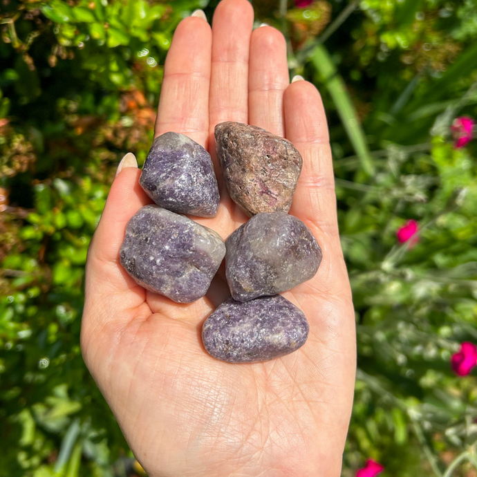 Lepidolite_Tumblestone_soulemporium