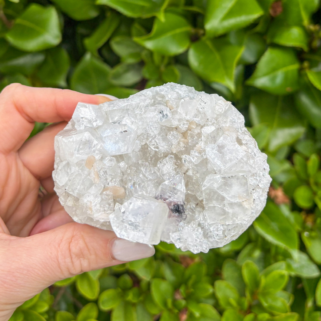 Apophyllite Cluster (1)