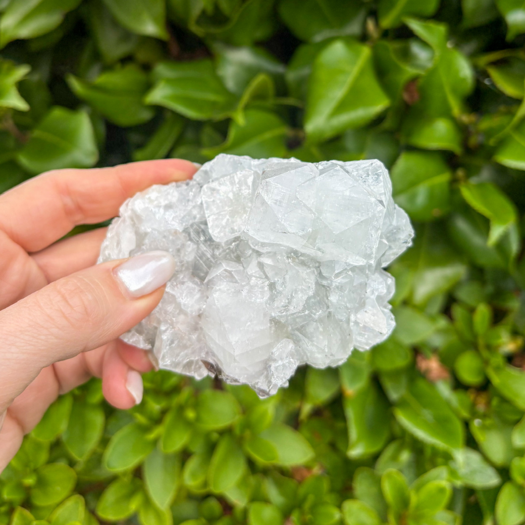 Apophyllite Cluster (3)
