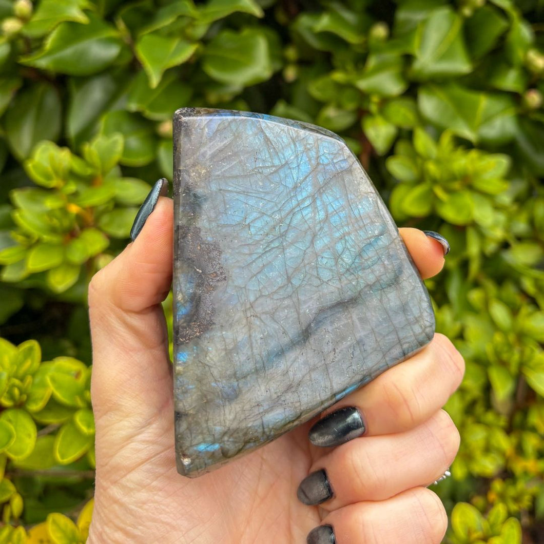 Labradorite Freeform - LAST ONE