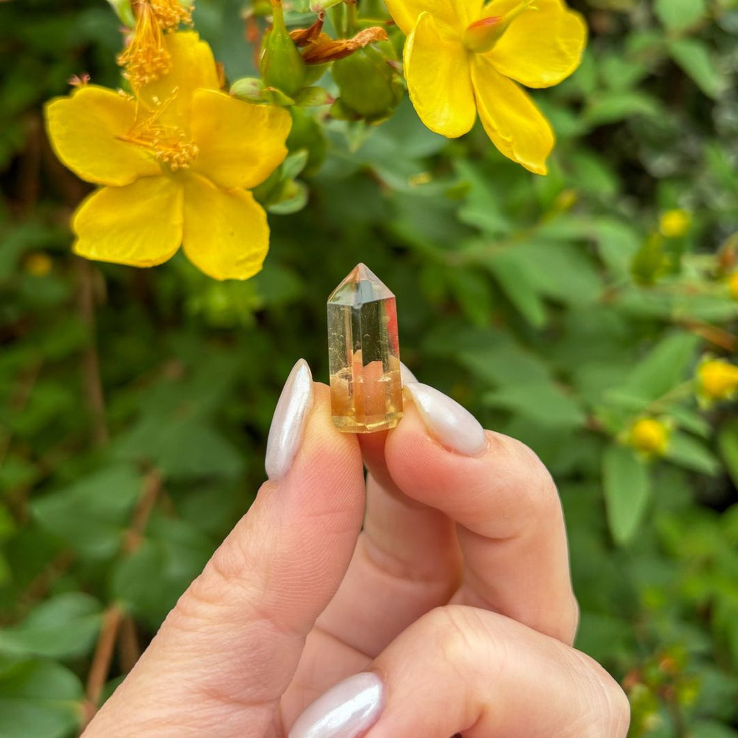Mini Natural Citrine Point - Powerful Lionsgate Activation