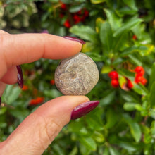 Load image into Gallery viewer, Magdalena Stone (Witches Finger)
