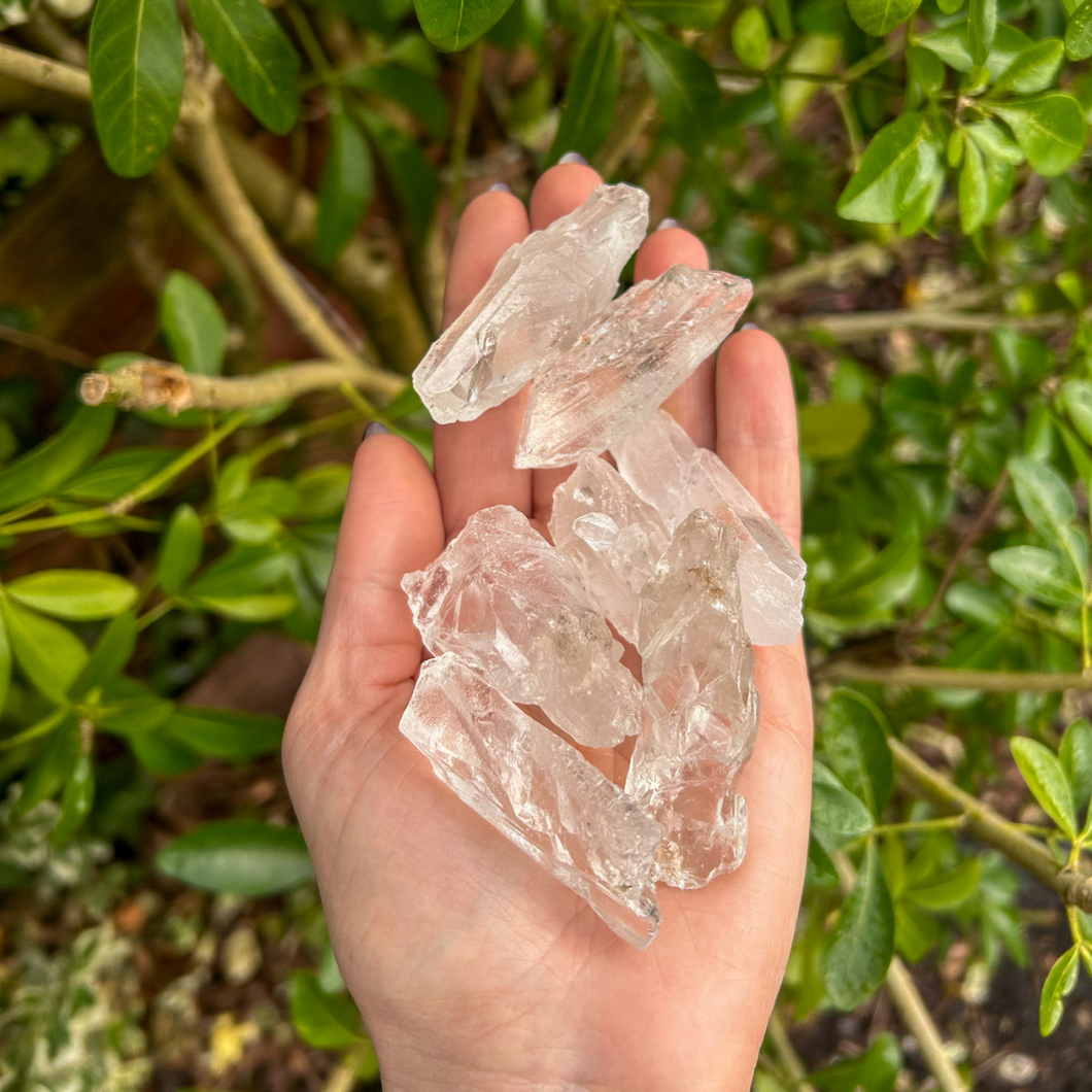 Lemurian Code Keeper