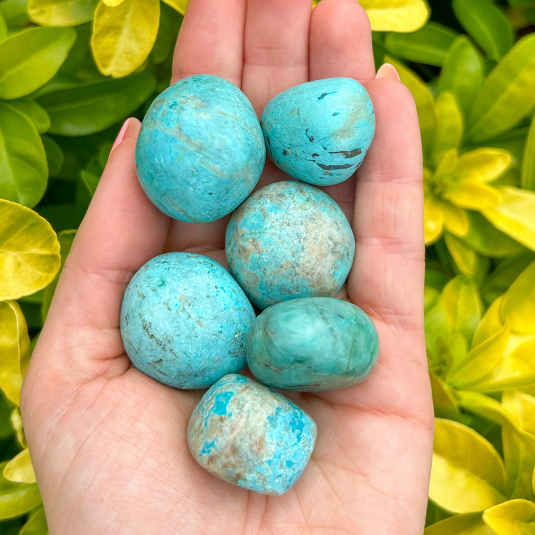 Chrysocolla_Tumblestone_Duck_Egg_soulemporium
