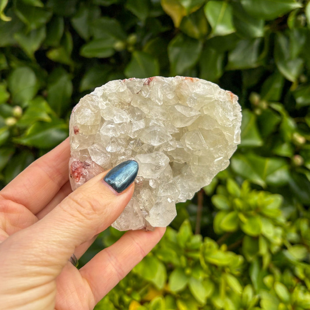 Apophyllite Cluster (1)