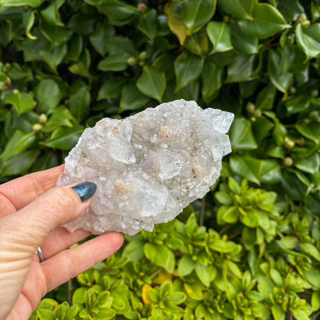 Apophyllite Cluster (2)