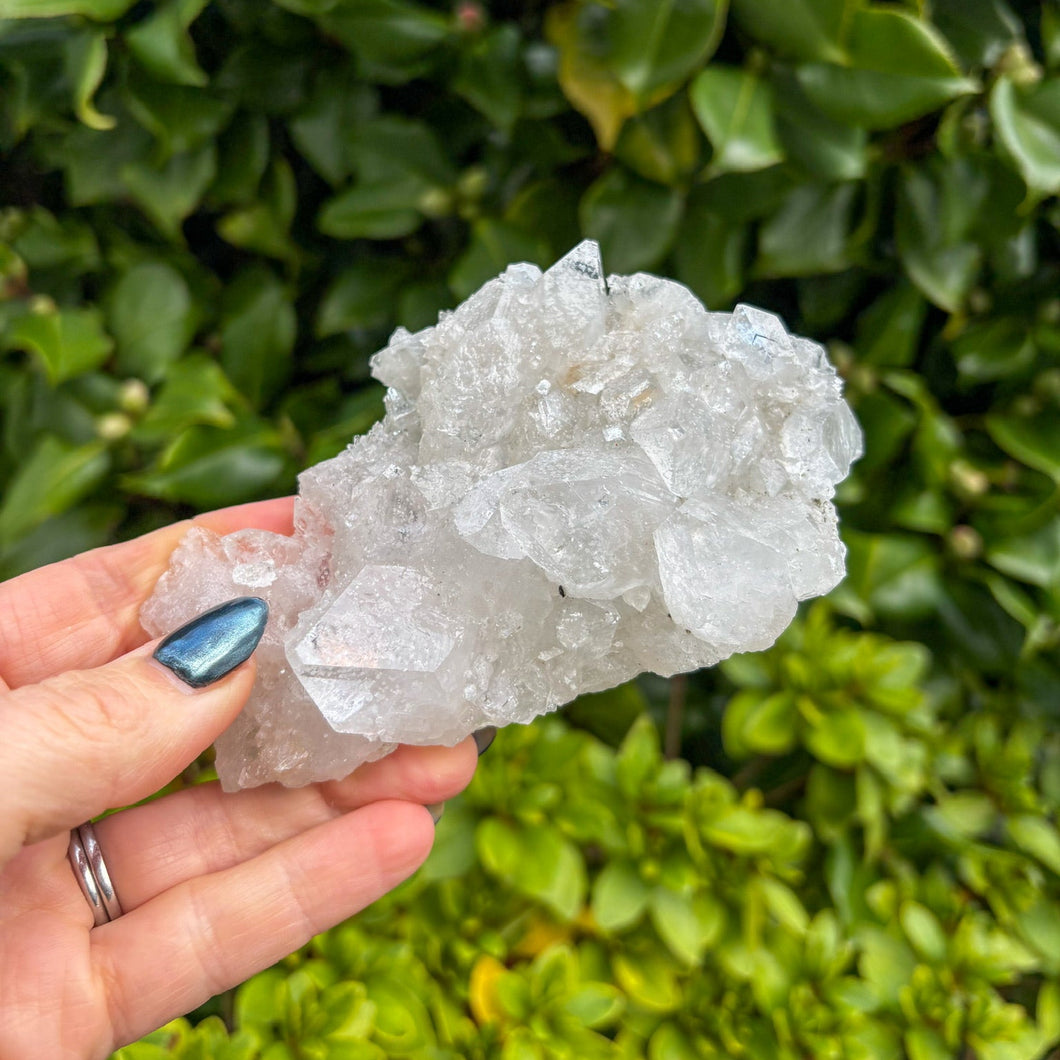 Apophyllite Cluster (4)