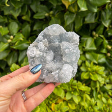 Load image into Gallery viewer, Apophyllite Cluster (5)
