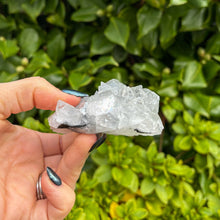 Load image into Gallery viewer, Apophyllite Cluster (6)
