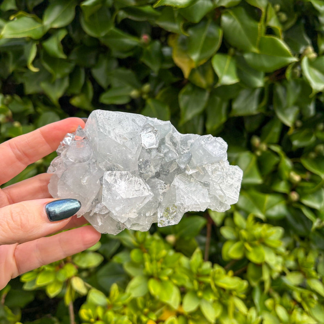 Apophyllite Cluster (7)