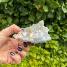 Load image into Gallery viewer, Apophyllite Cluster (8)
