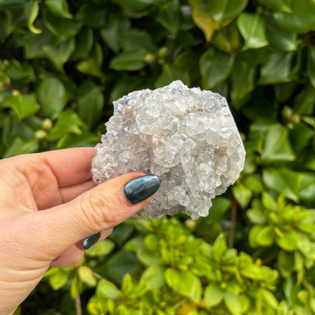 Apophyllite Cluster (9)