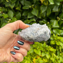 Load image into Gallery viewer, Apophyllite Cluster (9)
