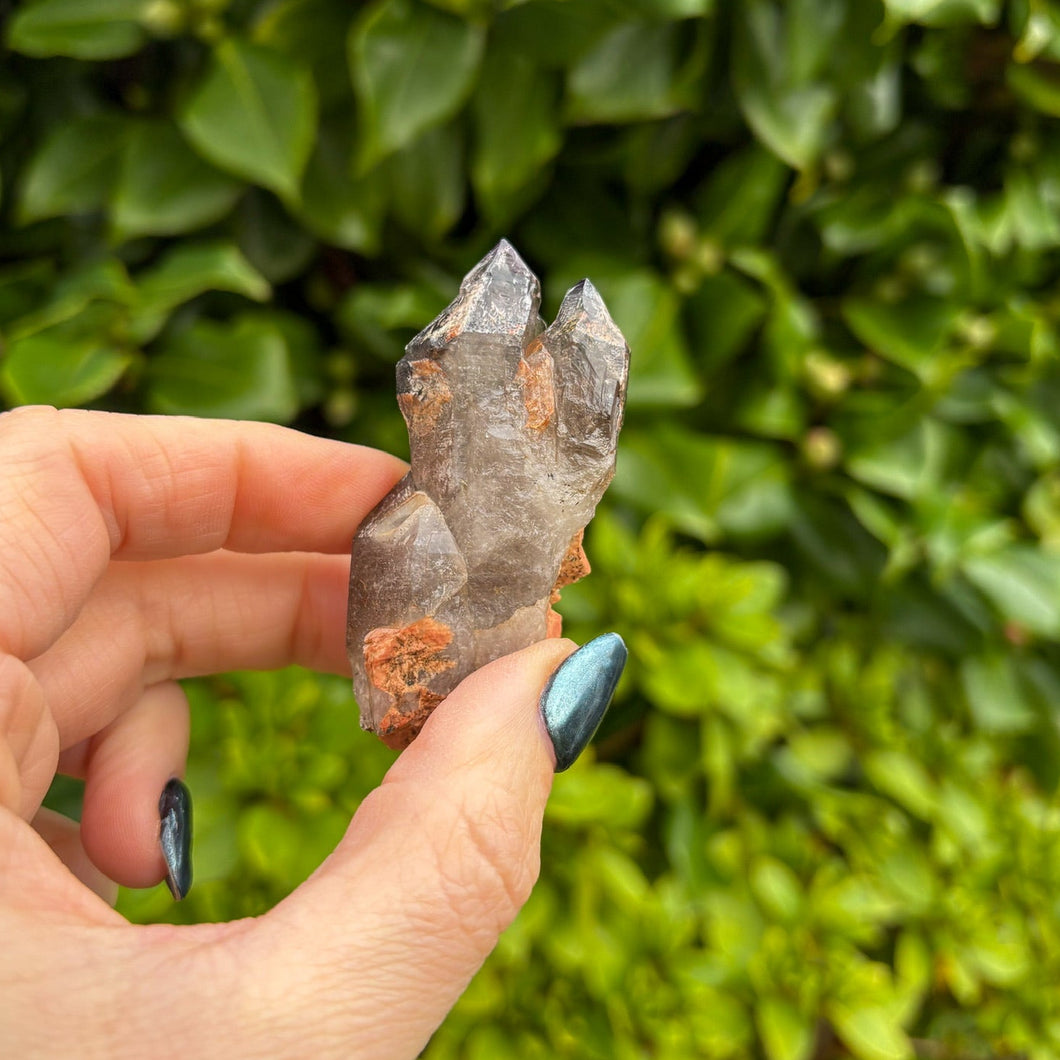 Brandberg - Spirit Guide Crystal (10)