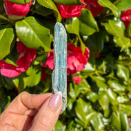 Bi-Colour Blue Kyanite - Cord Cutting & Energy Clearing