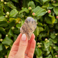 Brandberg - Spirit Guide Crystal (21)