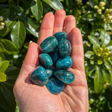 Load image into Gallery viewer, Apatite Tumblestone
