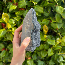 Load image into Gallery viewer, Black Amethyst (10)
