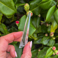 Natural Lemurian Point