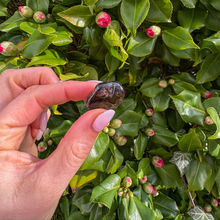 Load image into Gallery viewer, Smoky Quartz Tumblestone
