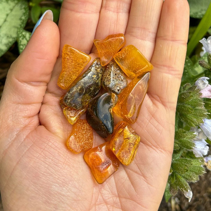amber_soulemporium