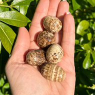 Aragonite_soulemporium