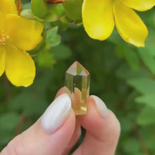 Load and play video in Gallery viewer, Mini Natural Citrine Point - Powerful Lionsgate Activation
