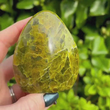 Load and play video in Gallery viewer, Kiwi Opal Freeform
