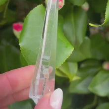 Load and play video in Gallery viewer, Natural Lemurian Point
