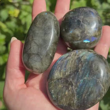 Load and play video in Gallery viewer, Labradorite Palm Stone
