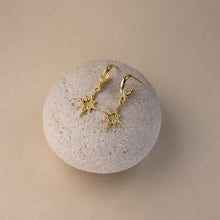 Load image into Gallery viewer, Z&amp;M X Kirsty Gallagher Starseed Earrings (GOLD)
