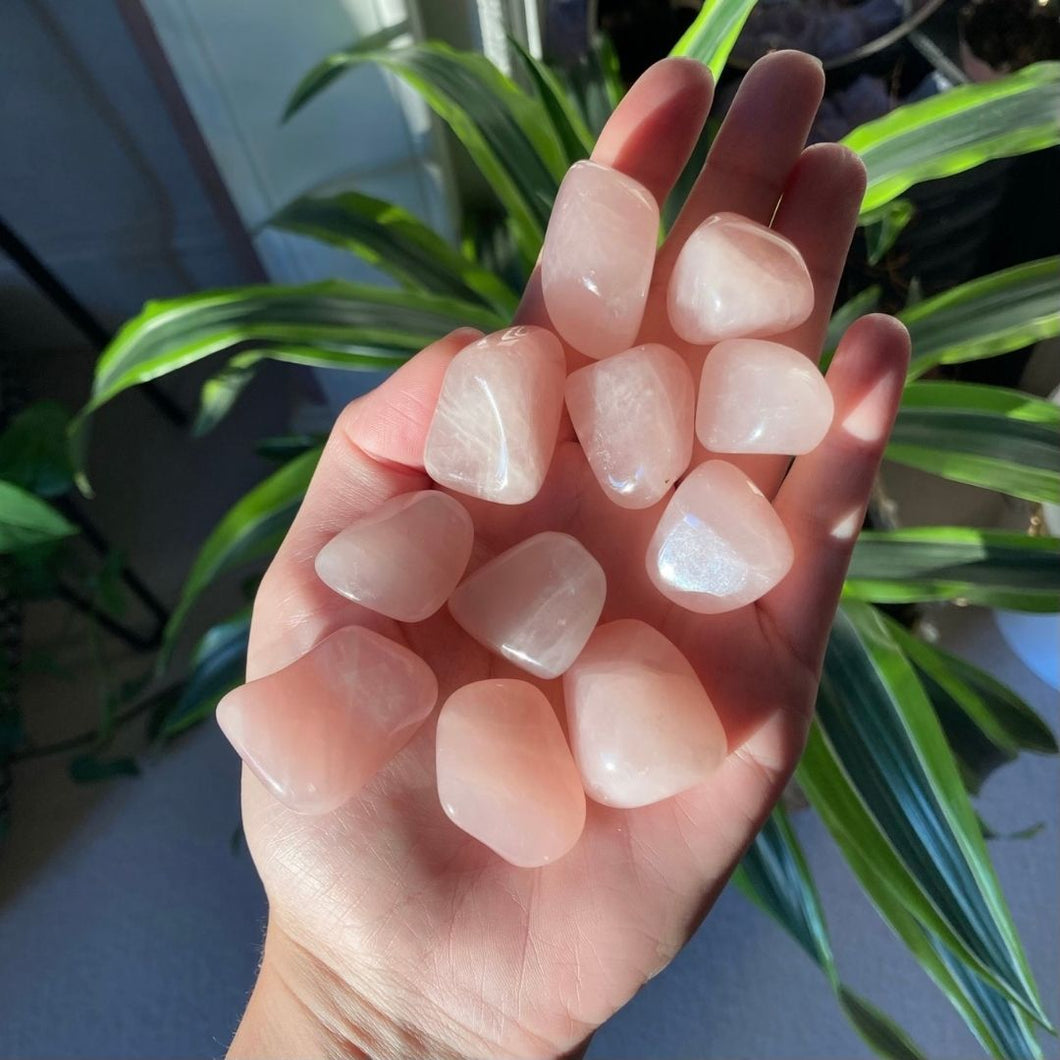 Rose Quartz Tumblestone